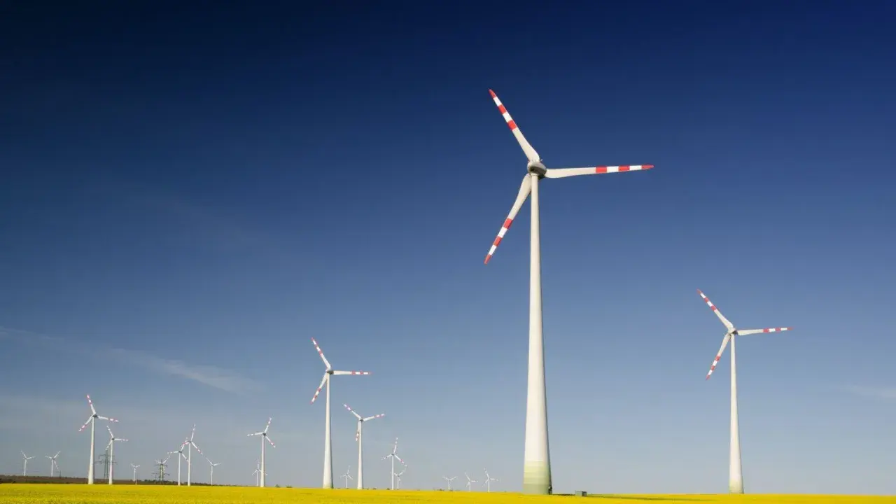 Windräder im Rapsfeld unter blauem Himmel. Ein Zeichen für die Zukunft der Energieversorgung, wie sie die EEG Ausschreibung fördert.