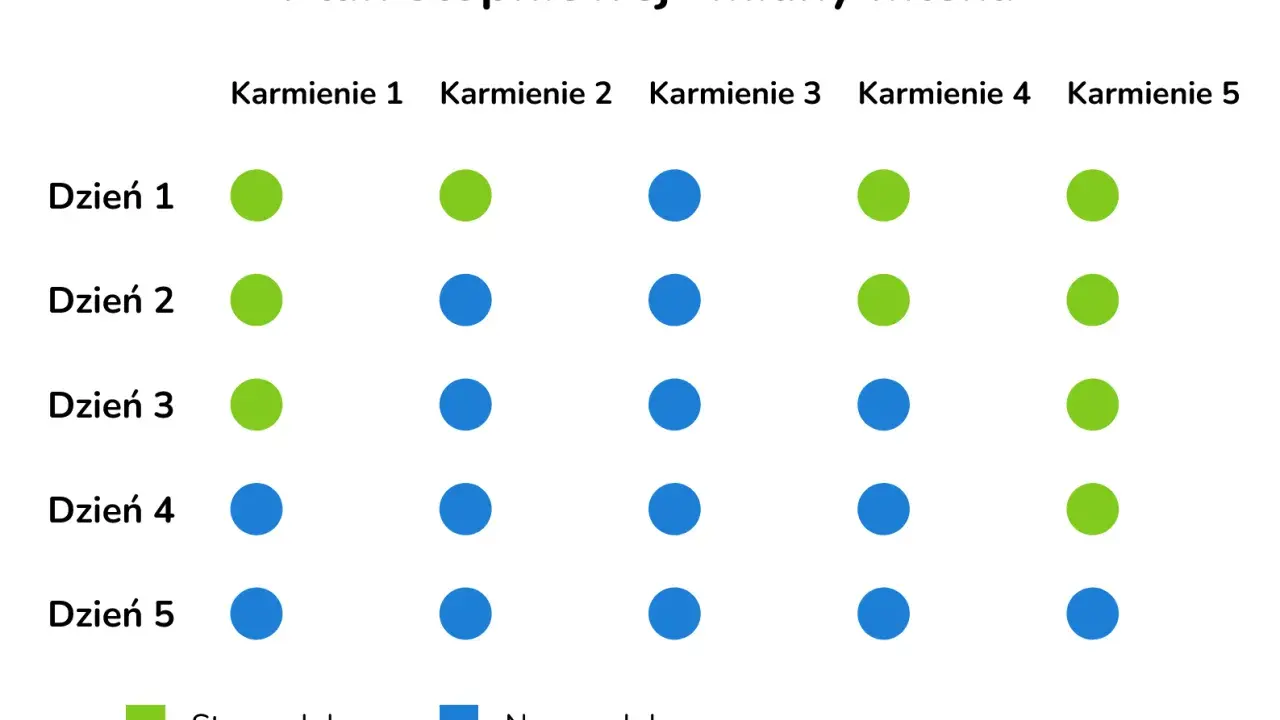 Plan stopniowej zmiany mleka: zielone kropki to stare mleko, niebieskie to nowe. Schemat pokazuje, jak zmienić mleko modyfikowane w ciągu 5 dni.
