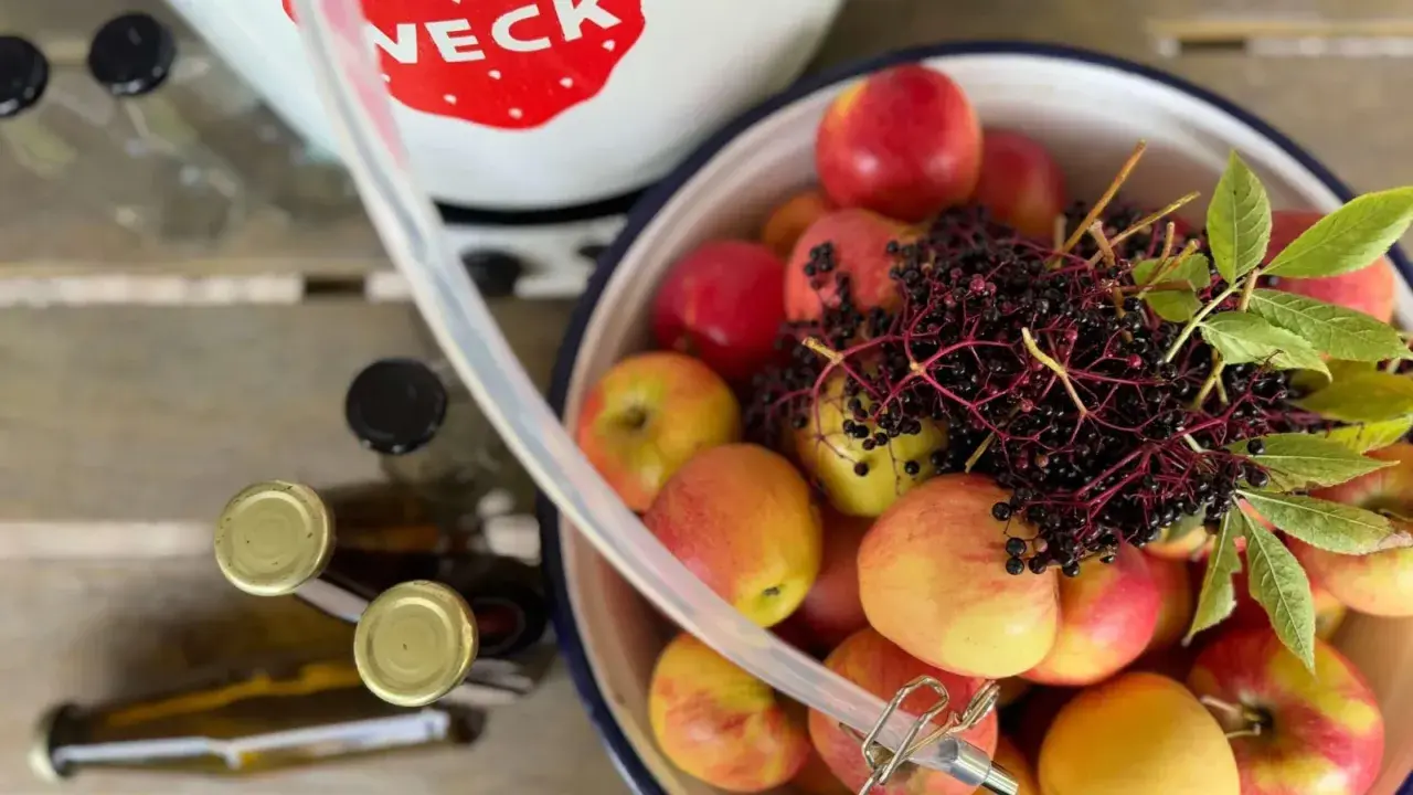 Äpfel und Holunderbeeren warten auf die Verarbeitung. Ein Schlauch führt zum Dampfentsafter, bereit für die Saftgewinnung.