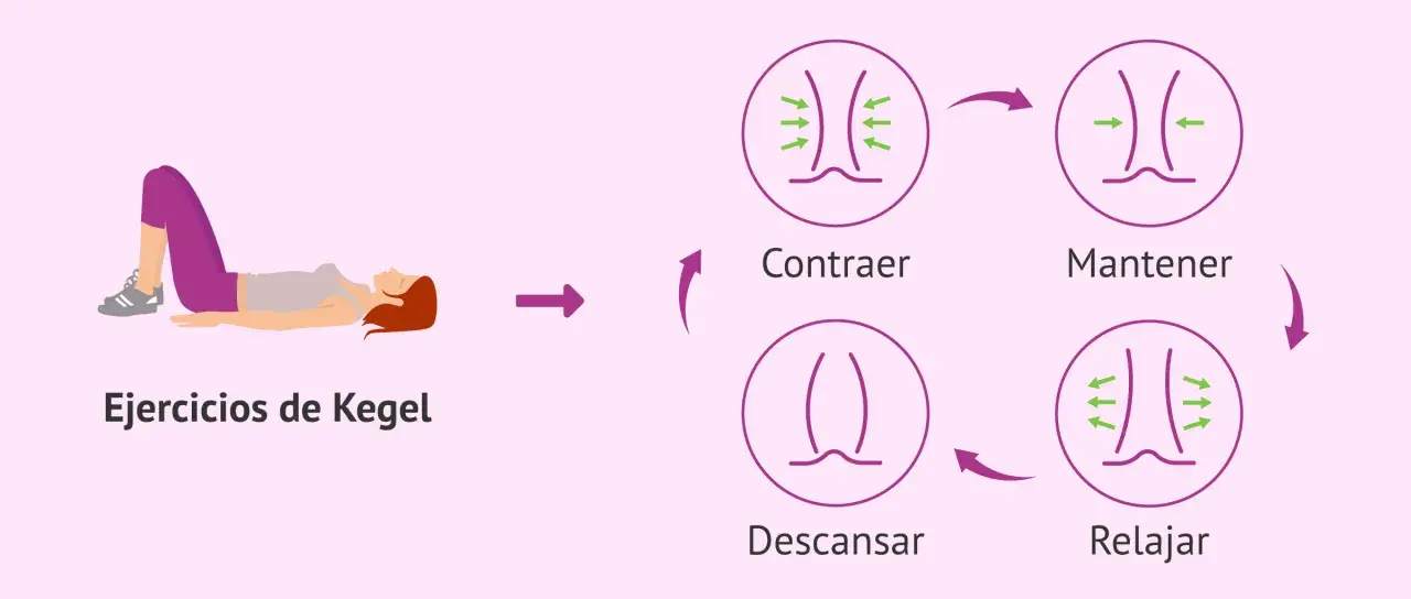 Ilustración de ejercicios de Kegel: mujer tumbada, ciclo de contracción, mantener, relajación y descanso del músculo pubococcigeo.