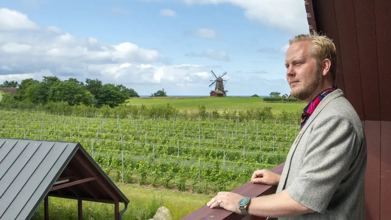 Man i kavaj blickar ut över böljande vingårdar i Skåne, med en väderkvarn i bakgrunden.