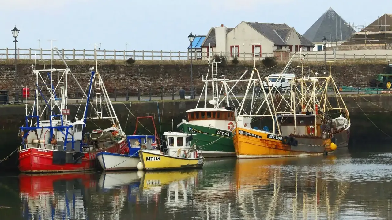 Plusieurs bateaux de pêche colorés sont amarrés dans un port. Une bitte d'amarrage définition : un poteau solide pour attacher les bateaux.