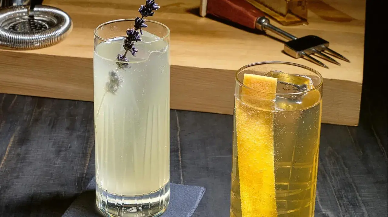 Zwei erfrischende Gin Tonic Drinks, einer mit Lavendel, der andere mit Zitrusgarnitur, bereit zum Genuss.