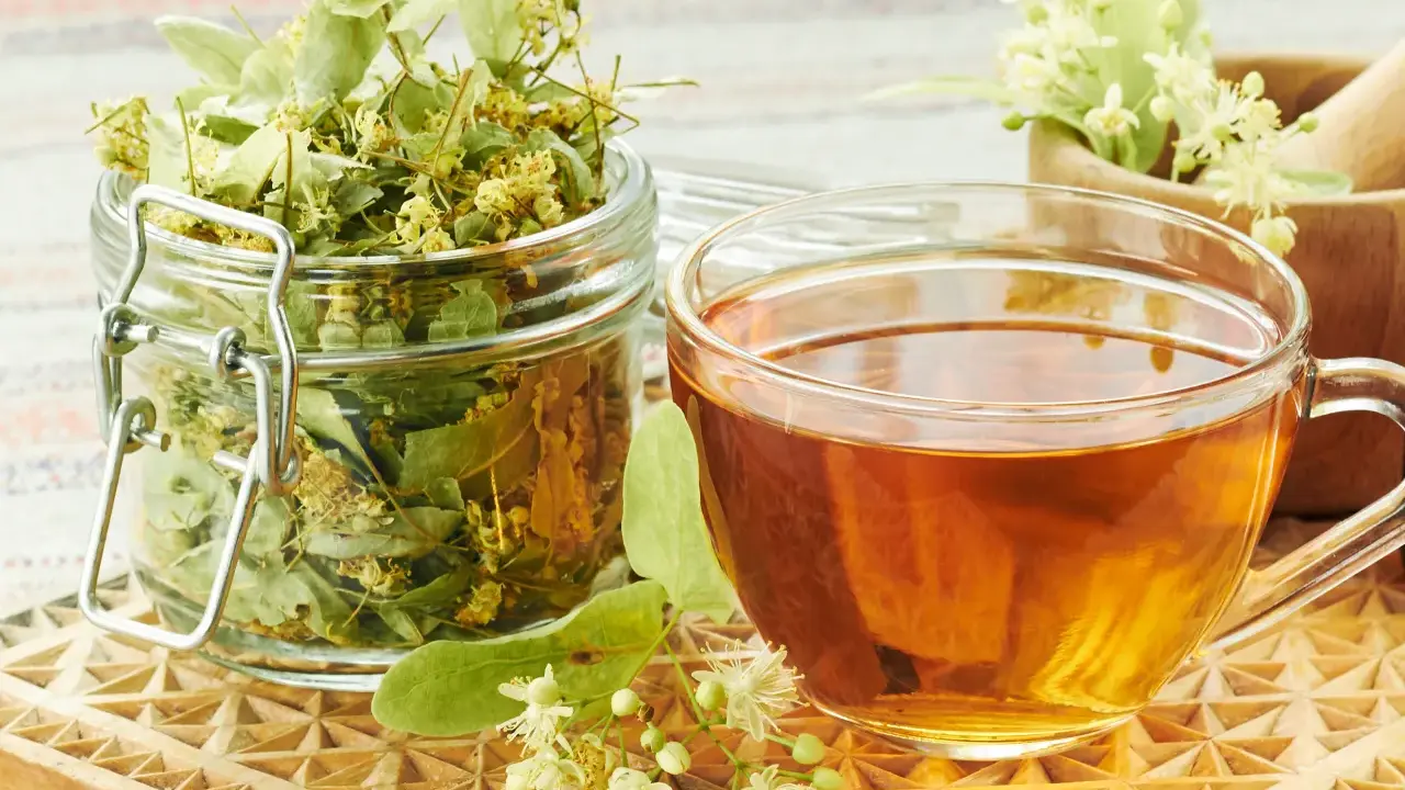 Infusion de tilleul, avec des fleurs fraîches et séchées. Bien que réputée pour ses bienfaits, une consommation excessive de tilleul infusion effet secondaire peut survenir.