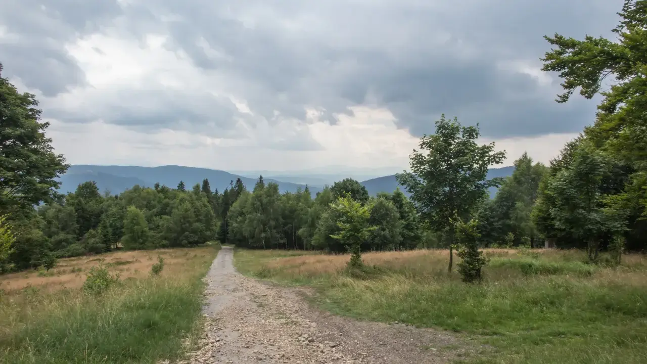 Kamienista ścieżka prowadzi przez trawiaste zbocze ku lasowi. W oddali widać pasma górskie pod pochmurnym niebem. To miejsce, gdzie można poczuć się jak na hrobaczej łące.