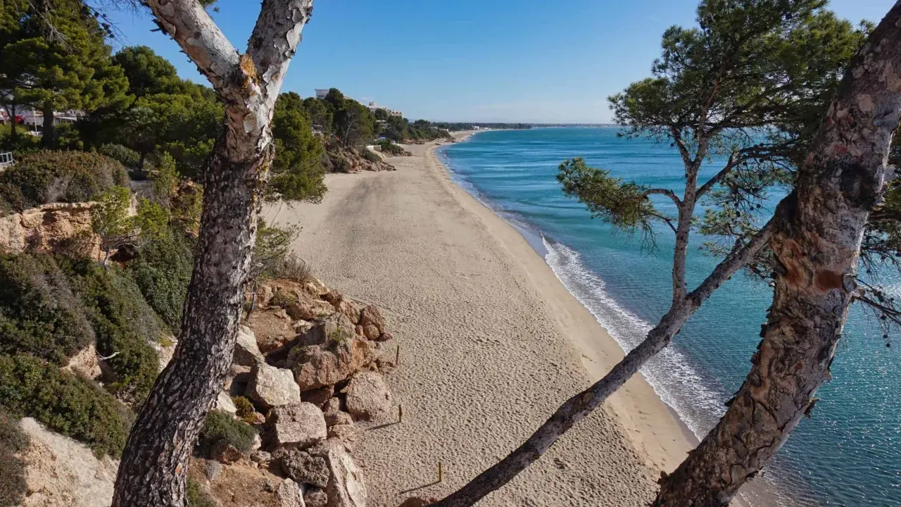 Blick auf den Strand von Calafell, Spanien, mit Pinien im Vordergrund und dem türkisfarbenen Meer.