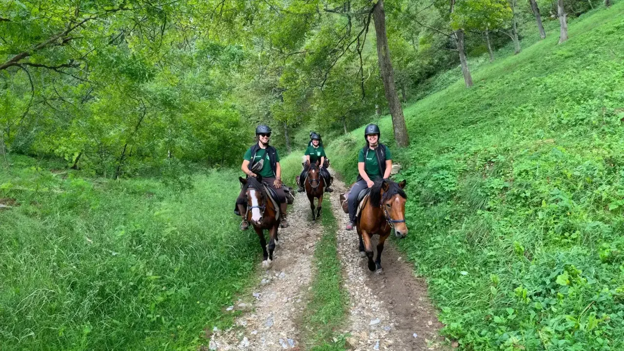Persone in sella a cavalli durante una passeggiata a cavallo nel Cuneese, immersi nel verde di un bosco.
