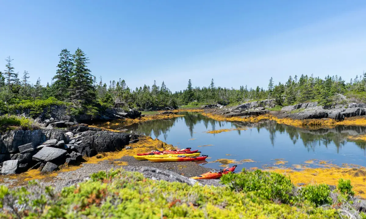 Bunte Kajaks liegen am Ufer bereit für einen **Urlaub im August**. Die felsige Küste mit Kiefern und Seetang lädt zum Erkunden ein.