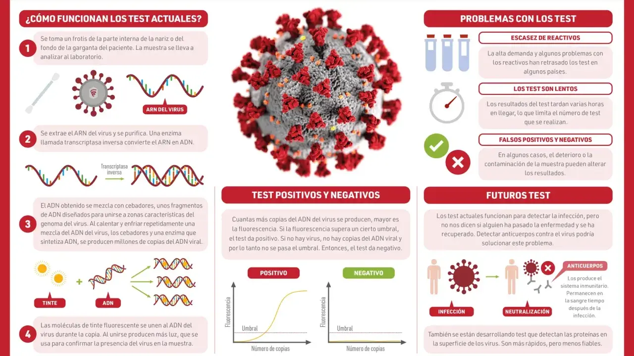 Ilustración explica cómo funciona un test PCR para detectar el ARN del virus, mostrando el proceso de amplificación y detección.