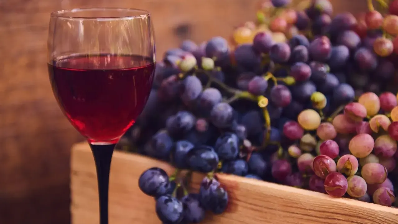 Wino z winogron krok po kroku: Twój pierwszy sukces w domowej piwniczce.