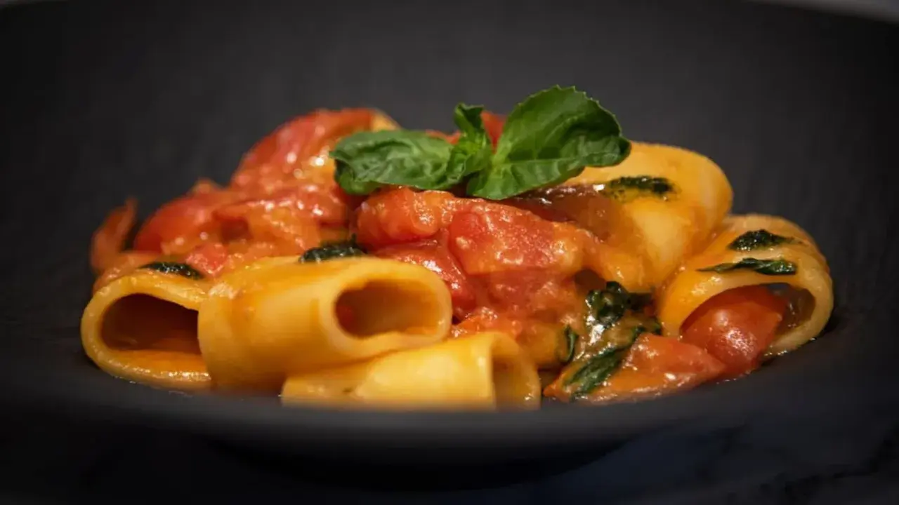 Paccheri alla Vittorio, un piatto di pasta succulenta con pomodoro fresco e basilico, servito in una ciotola scura.