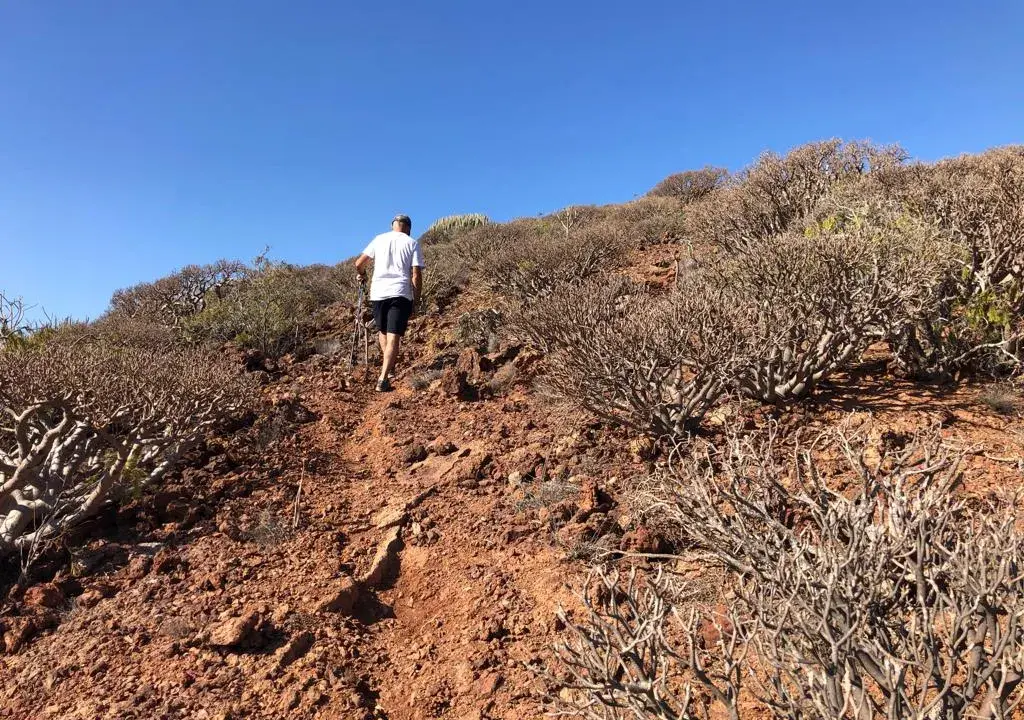 Montaña de Ifara y Los Riscos: Tu guía para la aventura volcánica en Tenerife