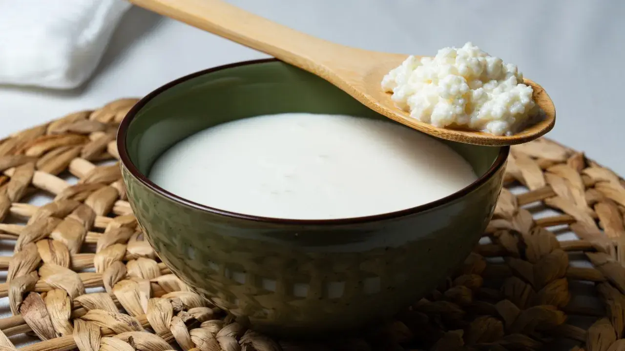Un bol de kéfir, un probiotique naturel pour soulager le ballonnement, avec une cuillère en bois contenant des grains de kéfir.