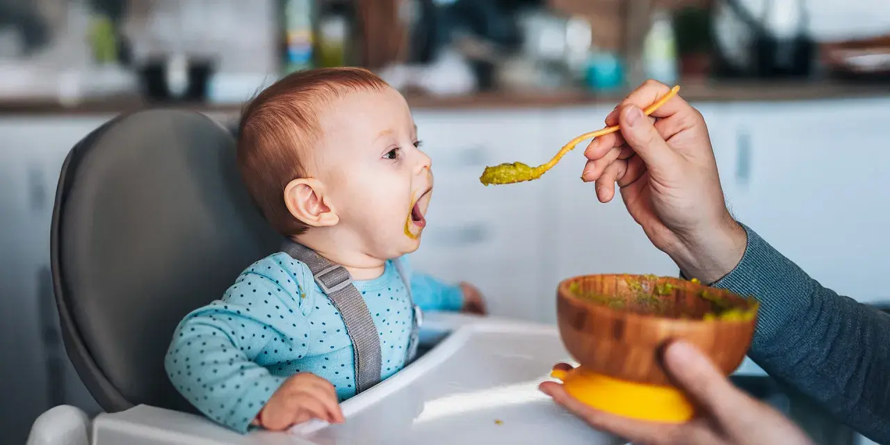 Ein Baby sitzt im Hochstuhl und bekommt von einer Hand mit einem Löffel Babybrei mit Fleisch gefüttert.