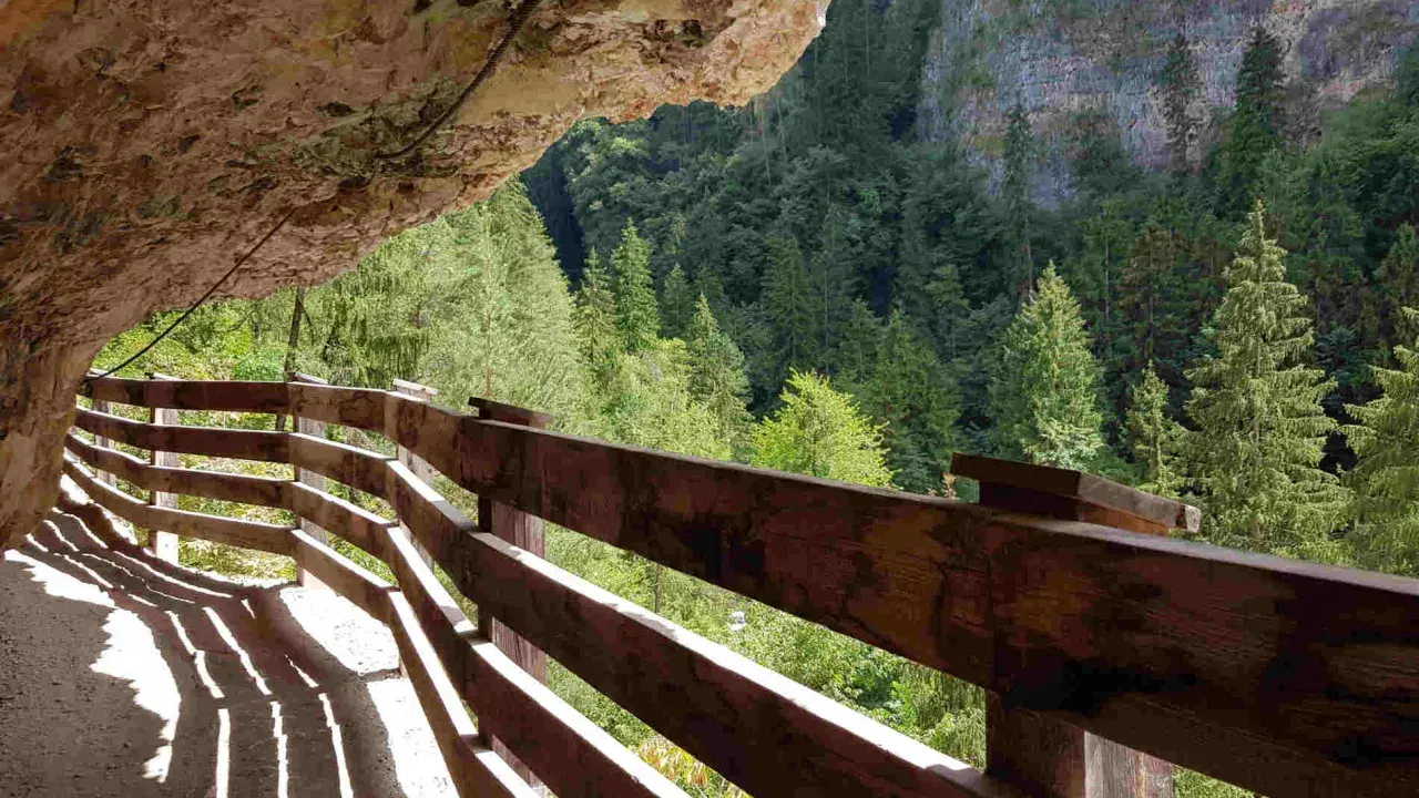 Sentiero scavato nella roccia con parapetto in legno, vista sulla valle boscosa di San Romedio.