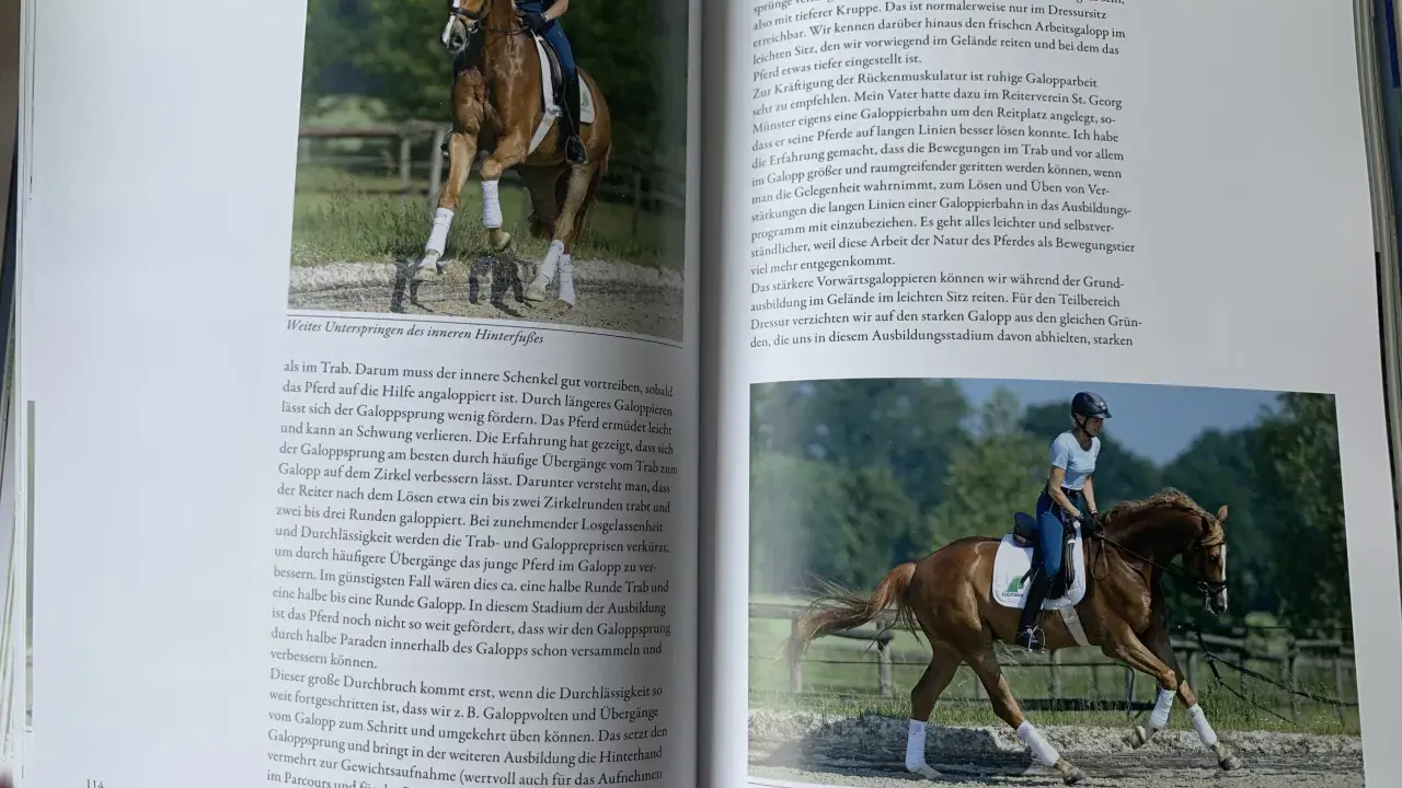 Reiterin mit braunem Pferd im Galopp, Dr. Klimke im leichten Sitz.