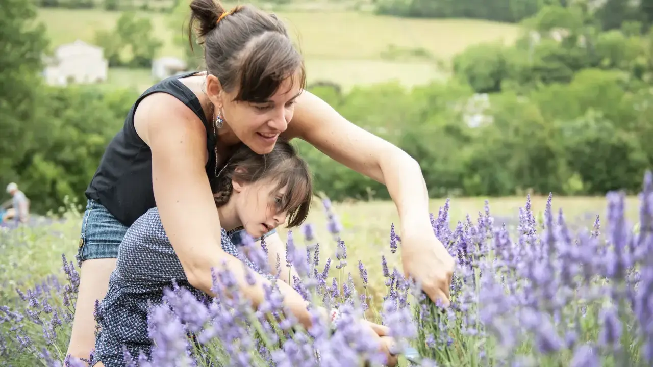 Une mère et sa fille cueillent de la lavande dans un champ. Au loin, une maison et des collines verdoyantes.