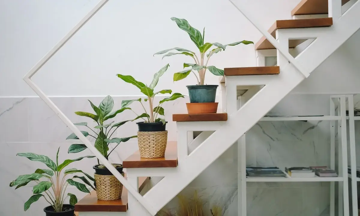 Plantas en macetas de mimbre decoran la subida de escalera interior, aportando vida y frescura.