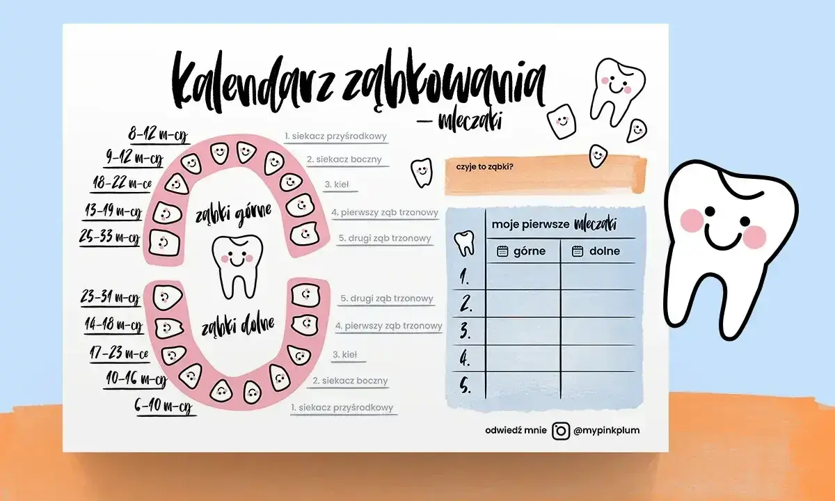 Kalendarz ząbkowania mleczaków. Ilustracja pokazuje harmonogram wyrzynania się zębów, z uśmiechniętymi ząbkami.
