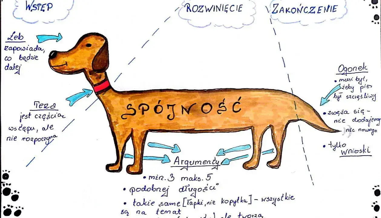 Ilustracja pokazuje psa jako metaforę rozprawki. Głowa to wstęp, tułów to rozwinięcie, a ogonek to zakończenie. Jak zakończyć rozprawkę? Wnioskami, bez dodawania nic nowego.