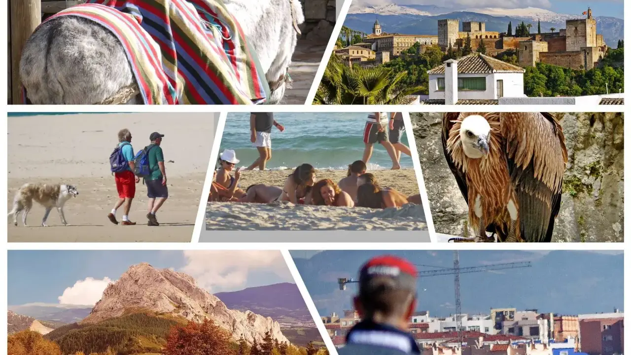 Bunte Collage mit Esel, Alhambra, Strandleben, Geier und Berglandschaft – typische Eindrücke für Spanien Ferien.