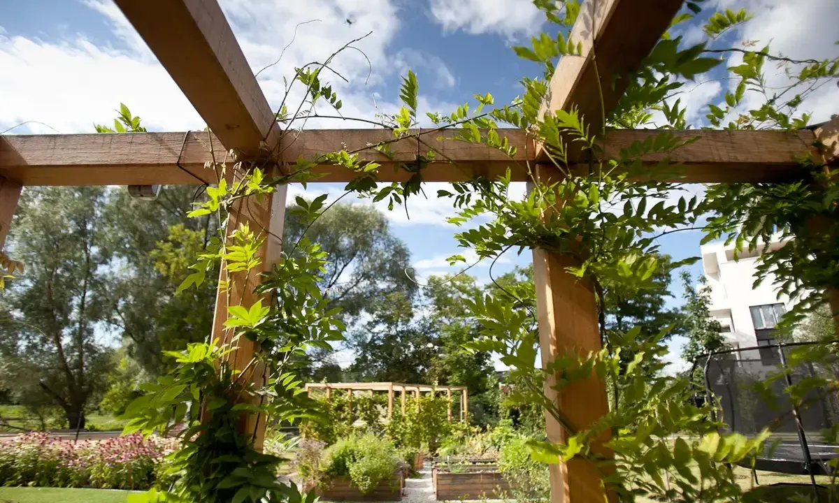 Drewniana pergola z pnączami, idealna do projektu oświetlenia ogrodu. W tle widać rabaty kwiatowe i budynek.