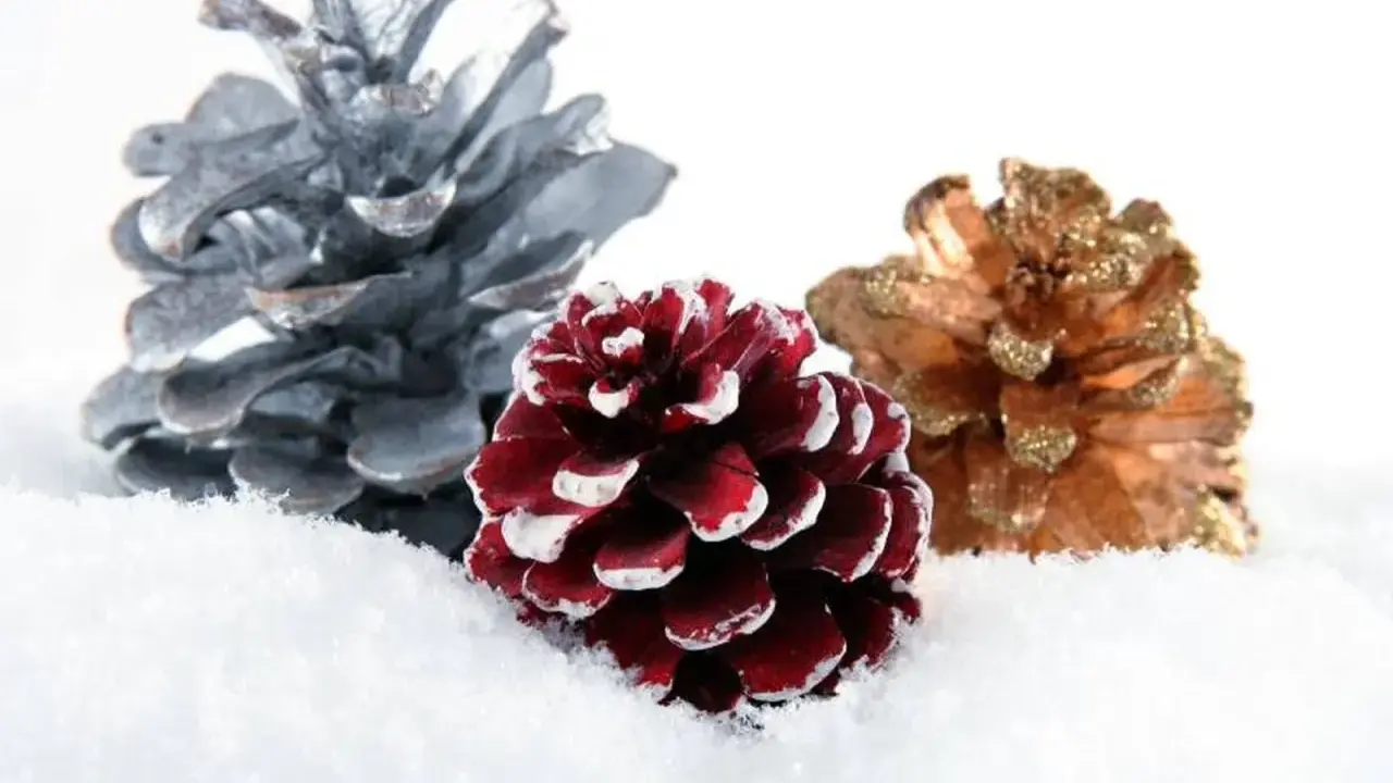 Piñas decoradas en tonos plateado, burdeos y dorado, cubiertas de nieve, evocan la magia del otoño y la anticipación de las fiestas.