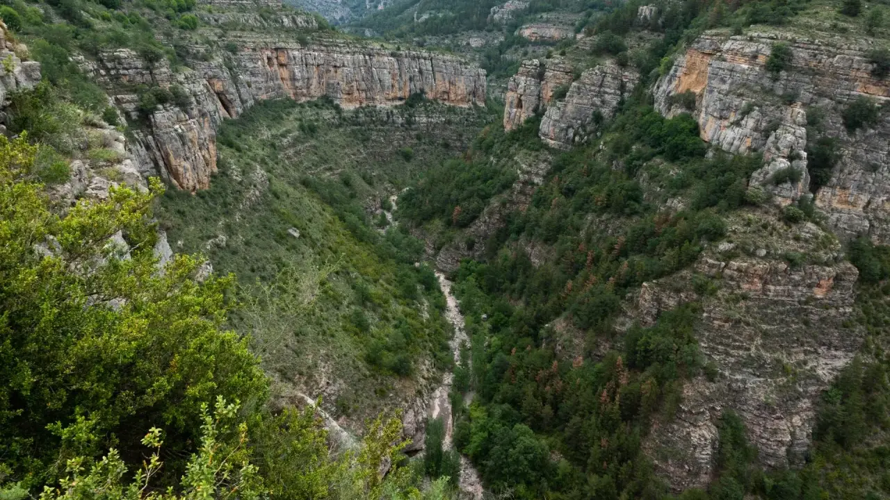 Impresionante cañón con paredes rocosas y vegetación exuberante, ideal para rutas senderismo La Rioja.