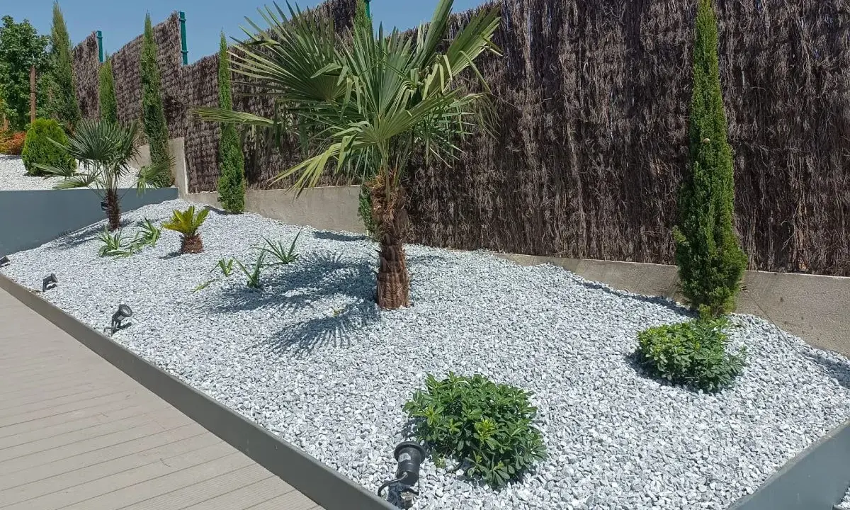 Jardines con piedras blancas, palmeras y cipreses, creando un oasis moderno y de bajo mantenimiento.