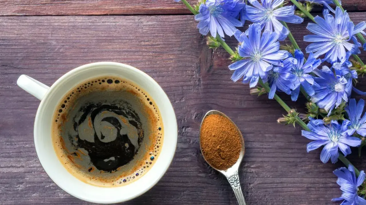 Taza de café de achicoria, con flores azules y una cucharada de polvo de achicoria, ideal para aprender como preparar achicoria en cafetera.