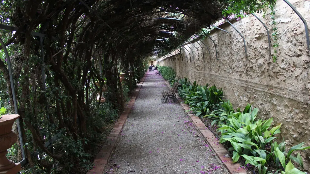Un sendero cubierto de vegetación en los jardines de Monforte, con bancos y flores moradas esparcidas por el camino.
