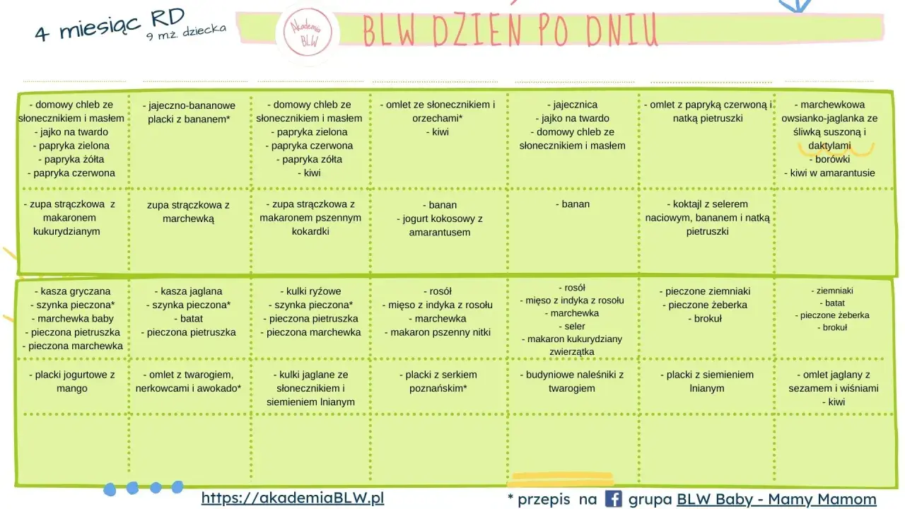 Jadłospis dla 9-miesięcznego dziecka: domowy chleb, zupy, placki, omlety i inne zdrowe posiłki.