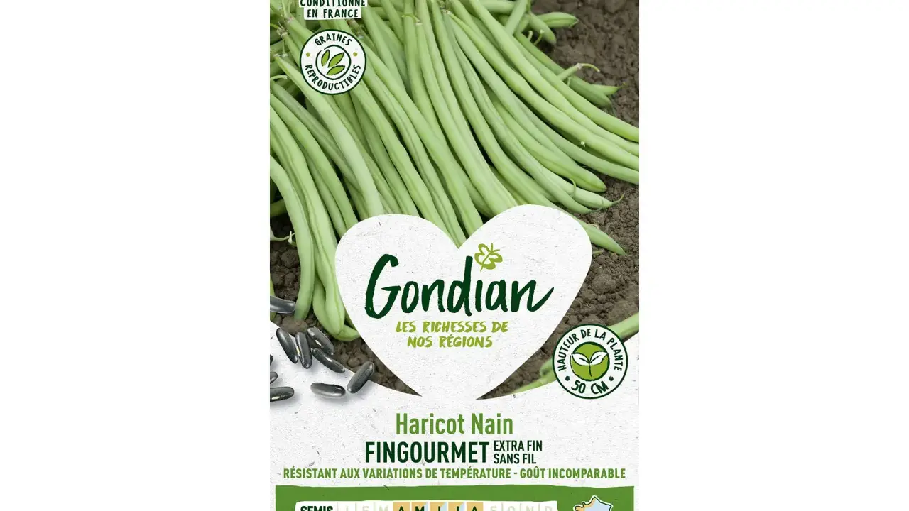 Haricots verts Gondian FINGOURMET, extra fins et sans fil. Les meilleurs pour un goût incomparable. Conditionnés en France.