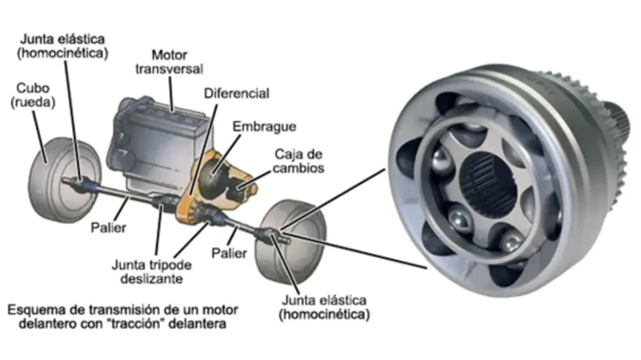 Detalle del eje motriz de un coche, mostrando la junta homocinética, palieres y diferencial.