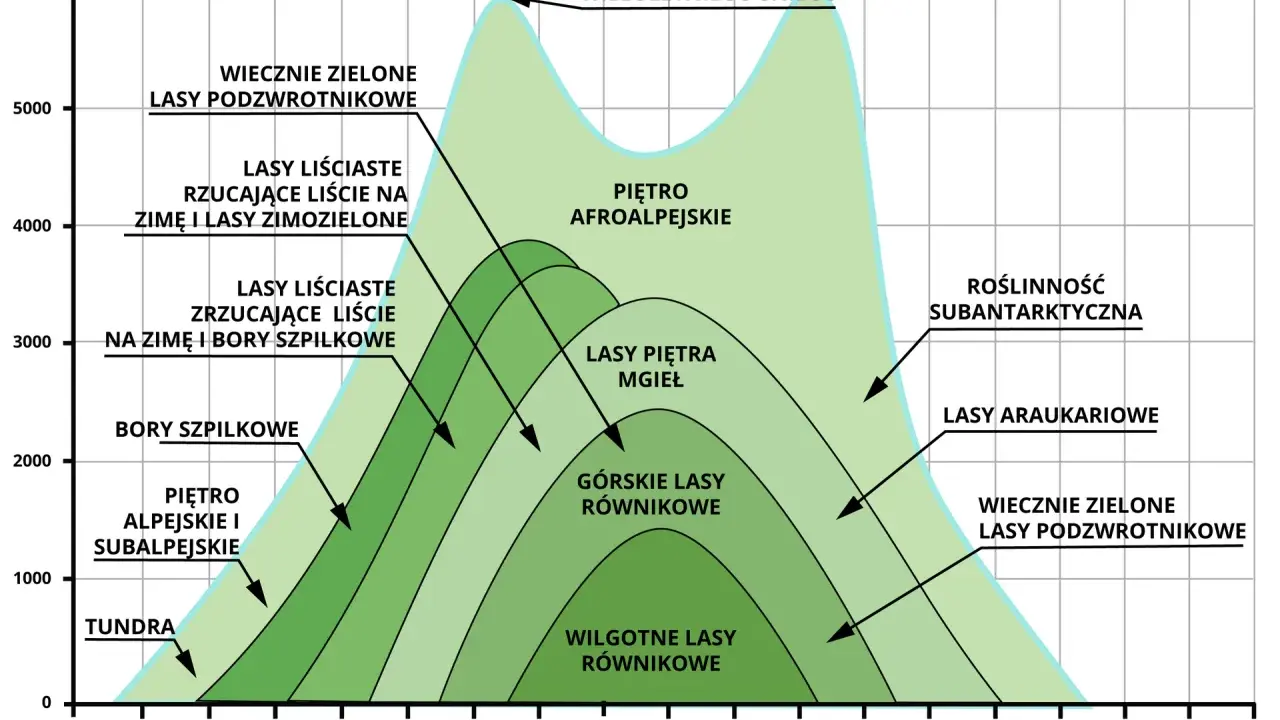 Piętra roślinności w Tatrach: od tundry po wiecznie zielone lasy podzwrotnikowe, zależnie od szerokości geograficznej i wysokości.