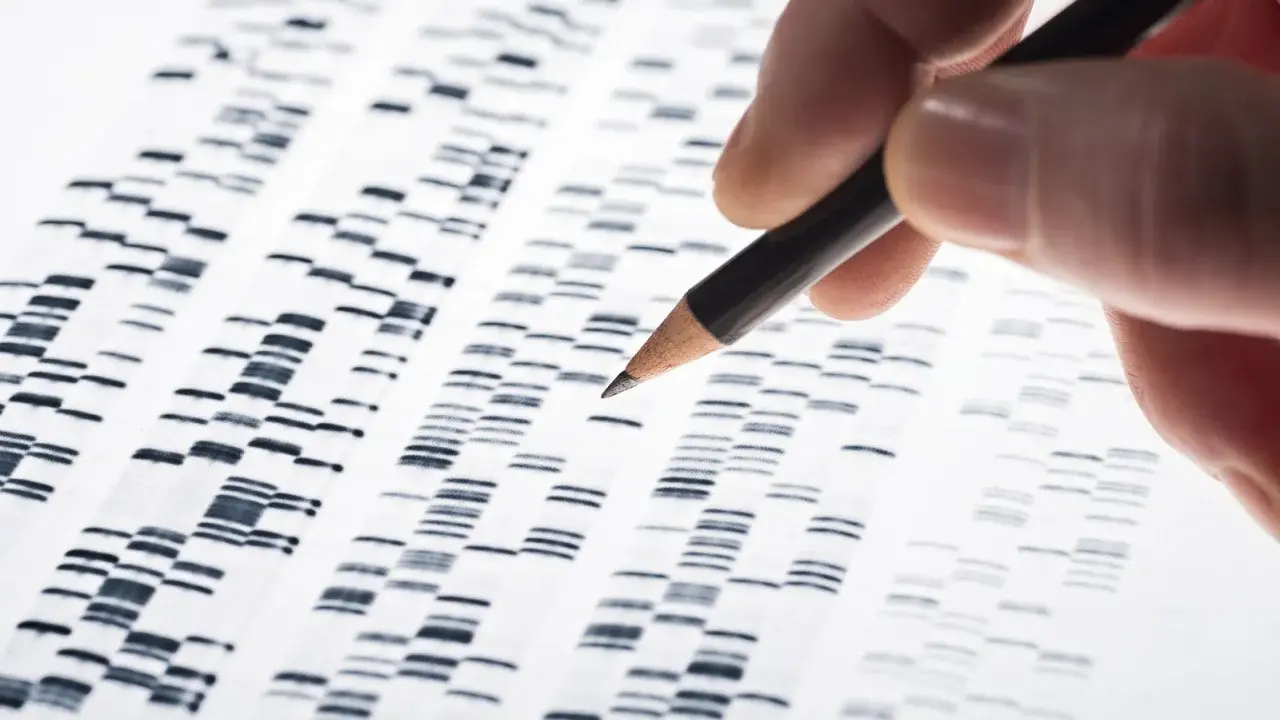 Dita che analizza un elettrofo gramma, uno strumento chiave nella biologia forense per identificare profili genetici.