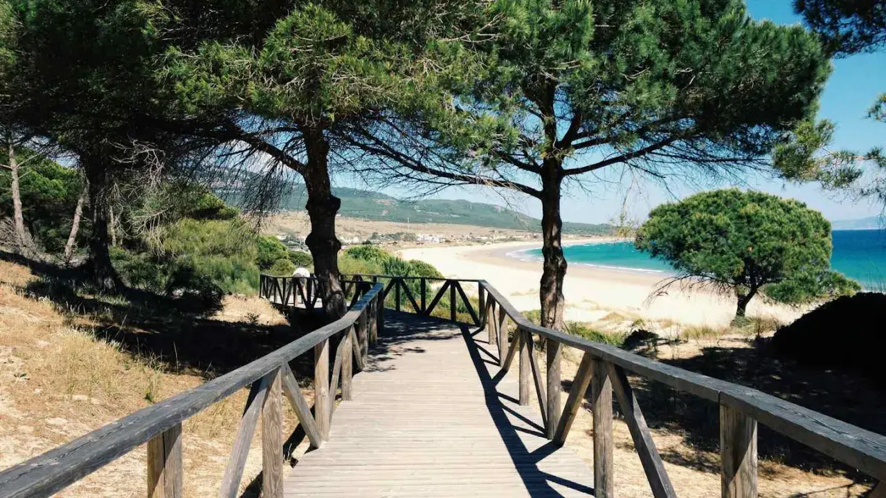 Holzsteg führt zu einem Strand mit Pinien. Ein perfekter Ort für einen Campingplatz Costa de la Luz.