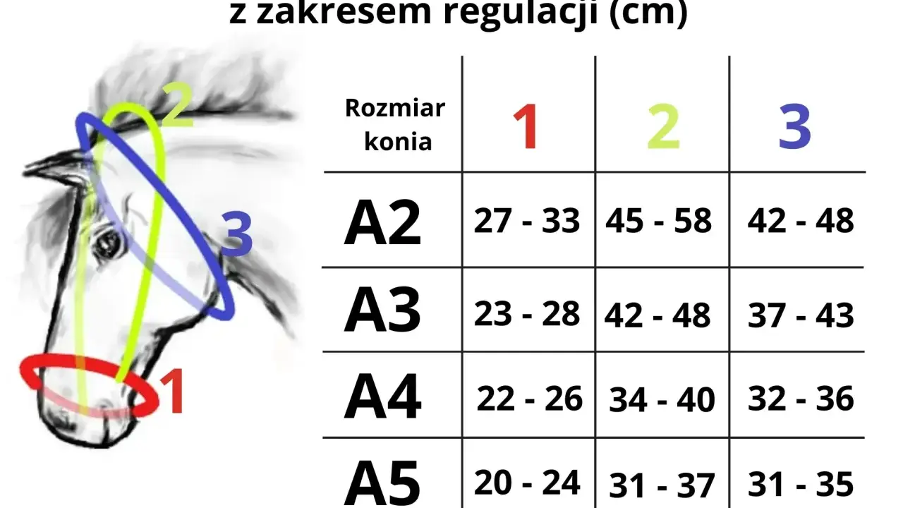 Tabela rozmiarów kantarów dla koni z zakresem regulacji (cm). Ilustracja pokazuje głowę konia z zaznaczonymi obszarami pomiaru.