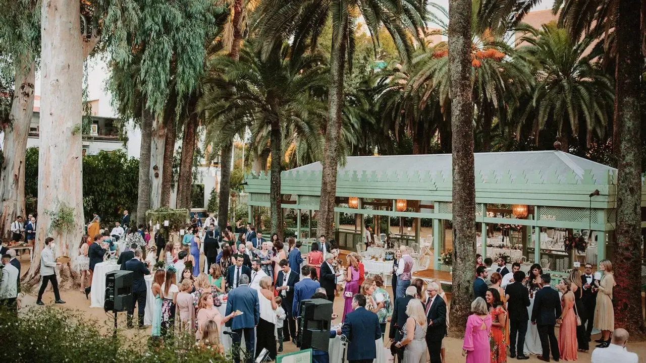 Invitados disfrutan de una boda tipo coctel al aire libre, rodeados de palmeras y eucaliptos. Un pabellón verde al fondo ofrece un espacio cubierto.