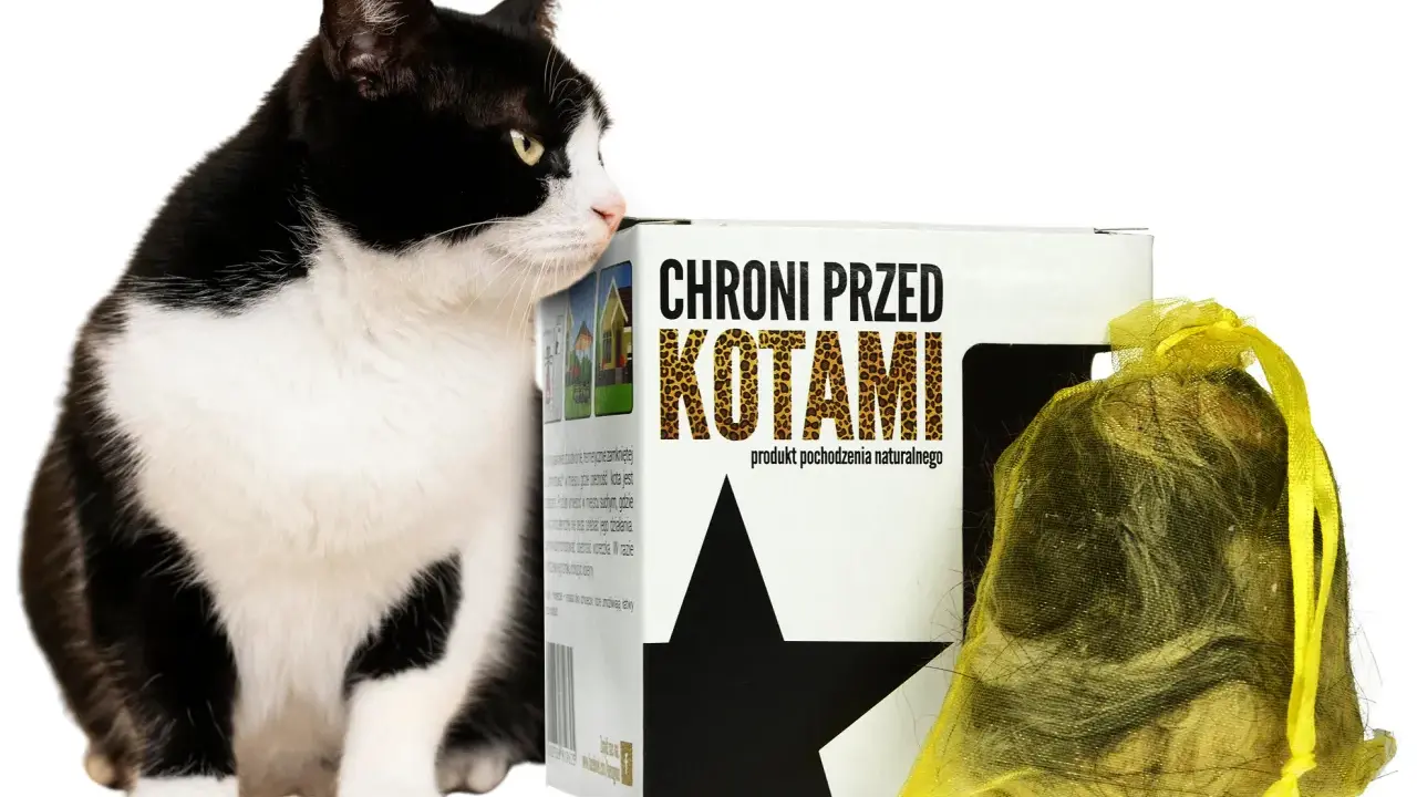 Czarno-biały kot przygląda się opakowaniu z napisem "Chroni przed kotami". To naturalny sposób, co odstrasza koty.
