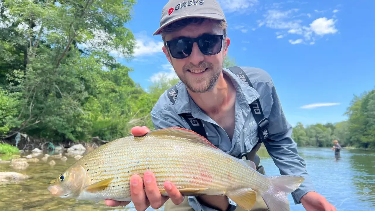 Glad fångst vid fly fishing. En man håller upp en fin fisk i en solig älv.