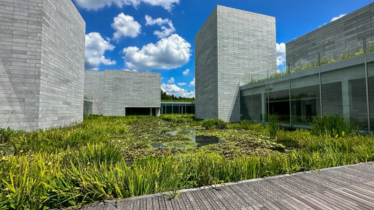 Modern architecture at Glenstone Museum, with grey brick buildings surrounding a lush pond filled with water lilies and reeds.