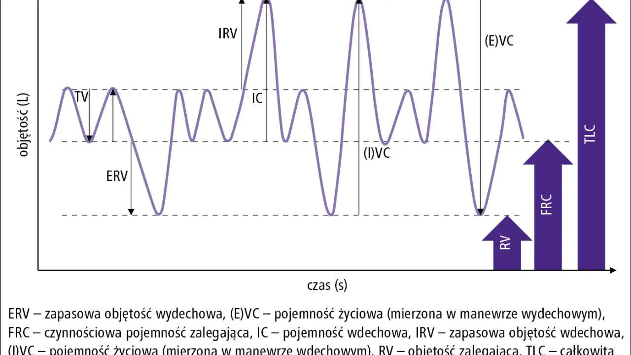 Wykres przedstawia spirometrię, badanie oceniające pojemność płuc. Pokazuje różne objętości oddechowe, takie jak TV, ERV, IRV, IC, RV, FRC, TLC i VC.