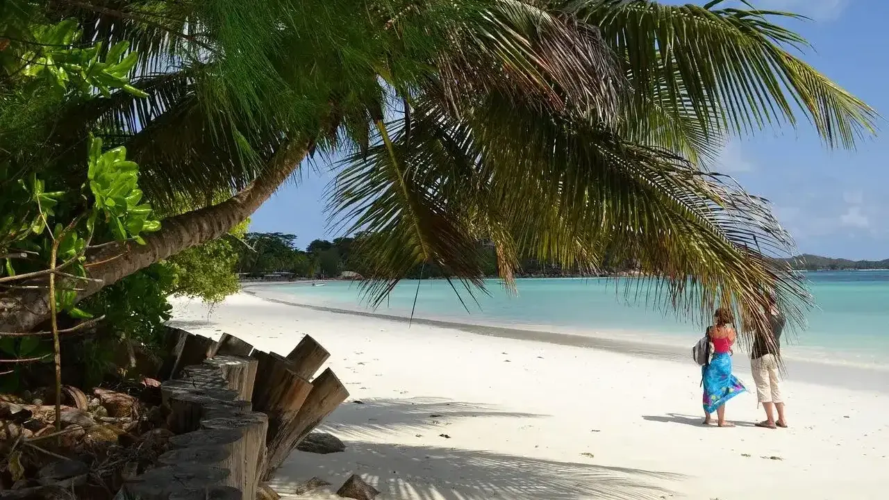 Rajska plaża z palmami, turkusową wodą i dwiema osobami. Tak właśnie wyglądają Seszele, gdzie leżą te rajskie wyspy.