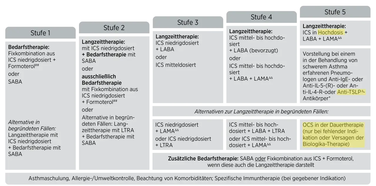 Leitlinie Asthma bronchiale: Stufenweise Therapie von Stufe 1 (Bedarfstherapie) bis Stufe 5 (schweres Asthma) mit Medikamenten wie ICS, LABA, LAMA.