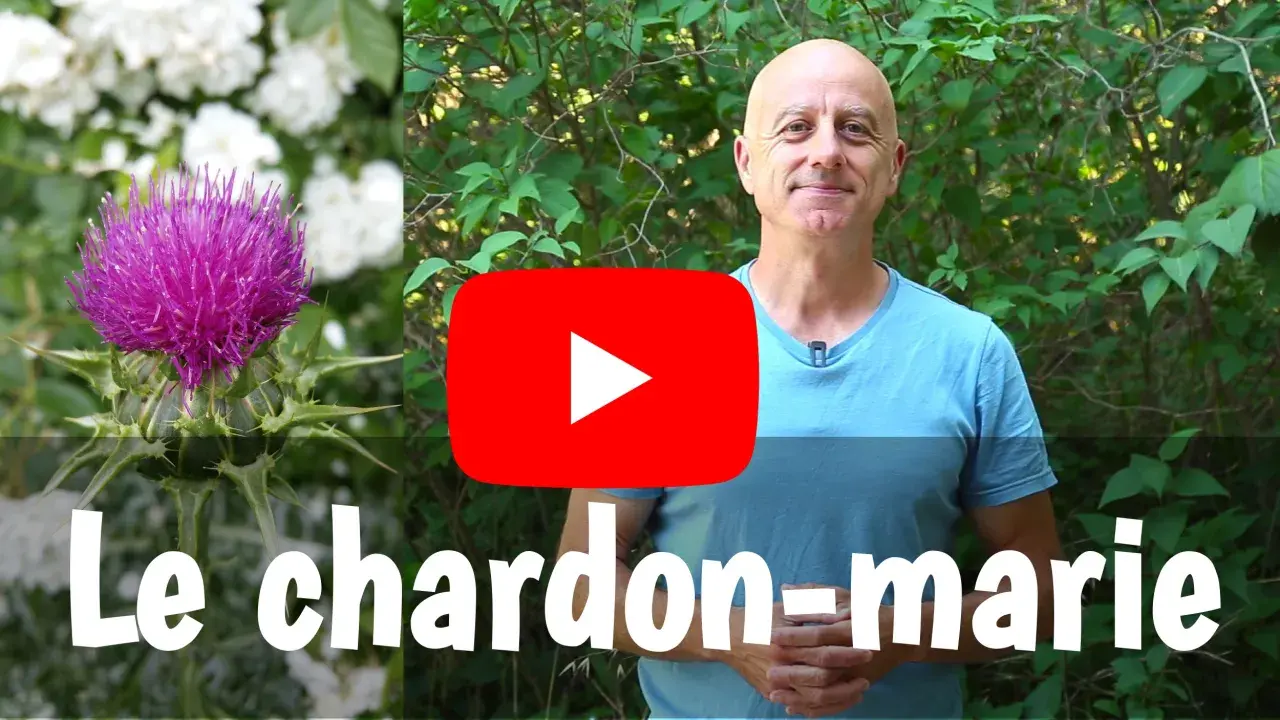 Un homme souriant devant un chardon-marie et des fleurs blanches. Le titre "Le chardon-marie" est affiché.