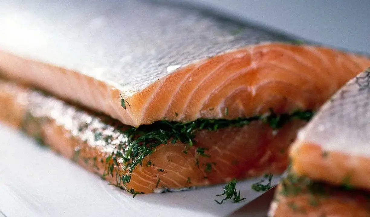 Närbild på gravad lax med dill, redo att serveras.