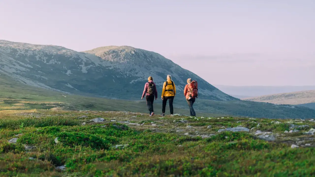 Tre vänner på vandring i Idre njuter av den vidsträckta fjällnaturen i solnedgången.