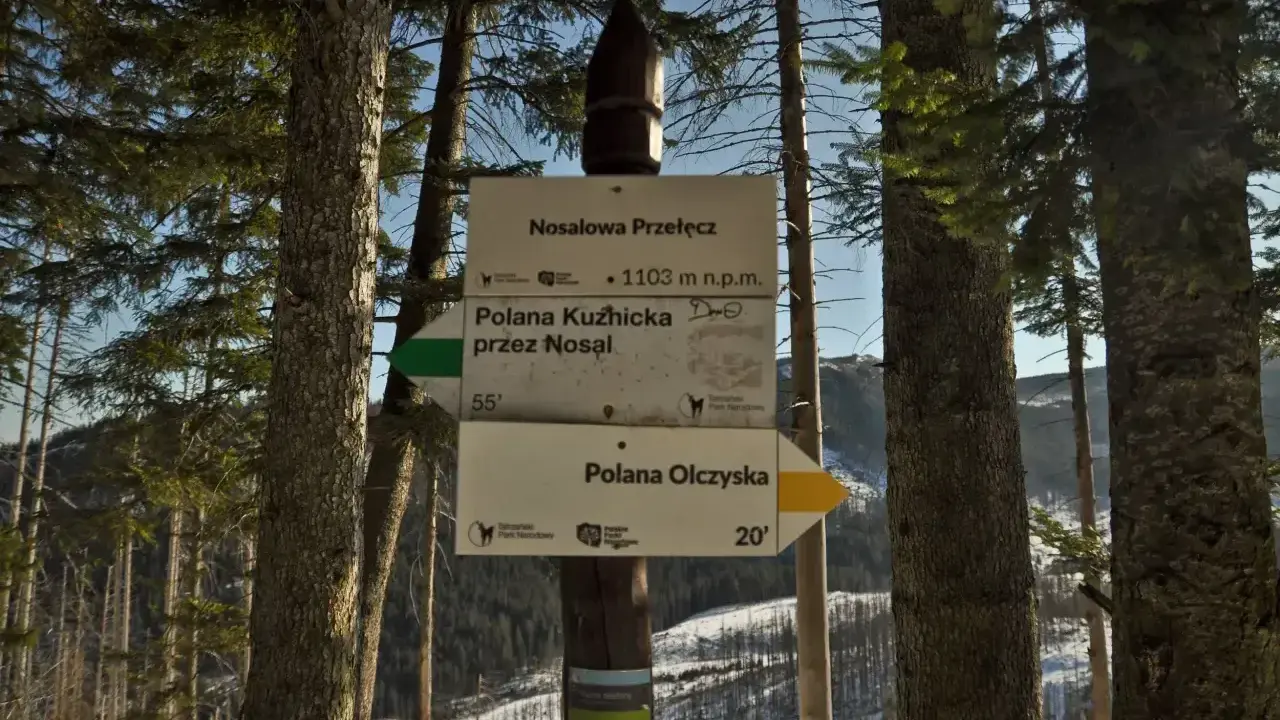Droga przez las prowadzi na Nosalową Przełęcz (1103 m n.p.m.). Wskazówki kierują do Polany Kuźnickiej i Polany Olczyskiej.