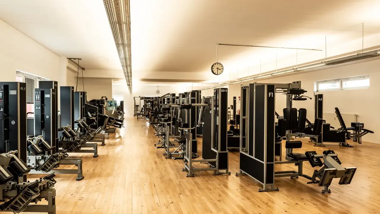 Reihe von Krafttrainingsgeräten in einem hellen Fitnessstudio. Ideal für Krafttraining bei Hexenschuss zur Stärkung der Rumpfmuskulatur.